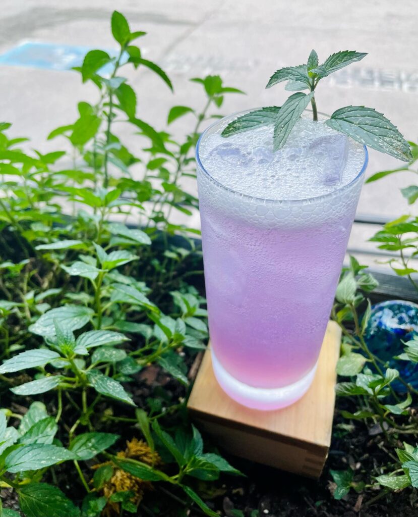 Killjoy Summer Cocktail Mojito Pea Flower Butterfly